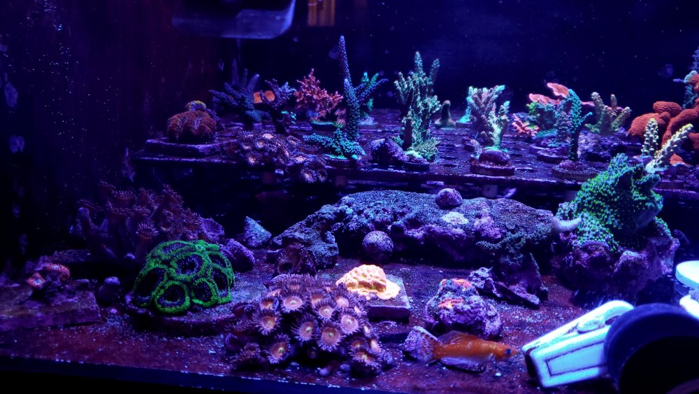 20220518_151513.jpg 20220518_151513.jpg