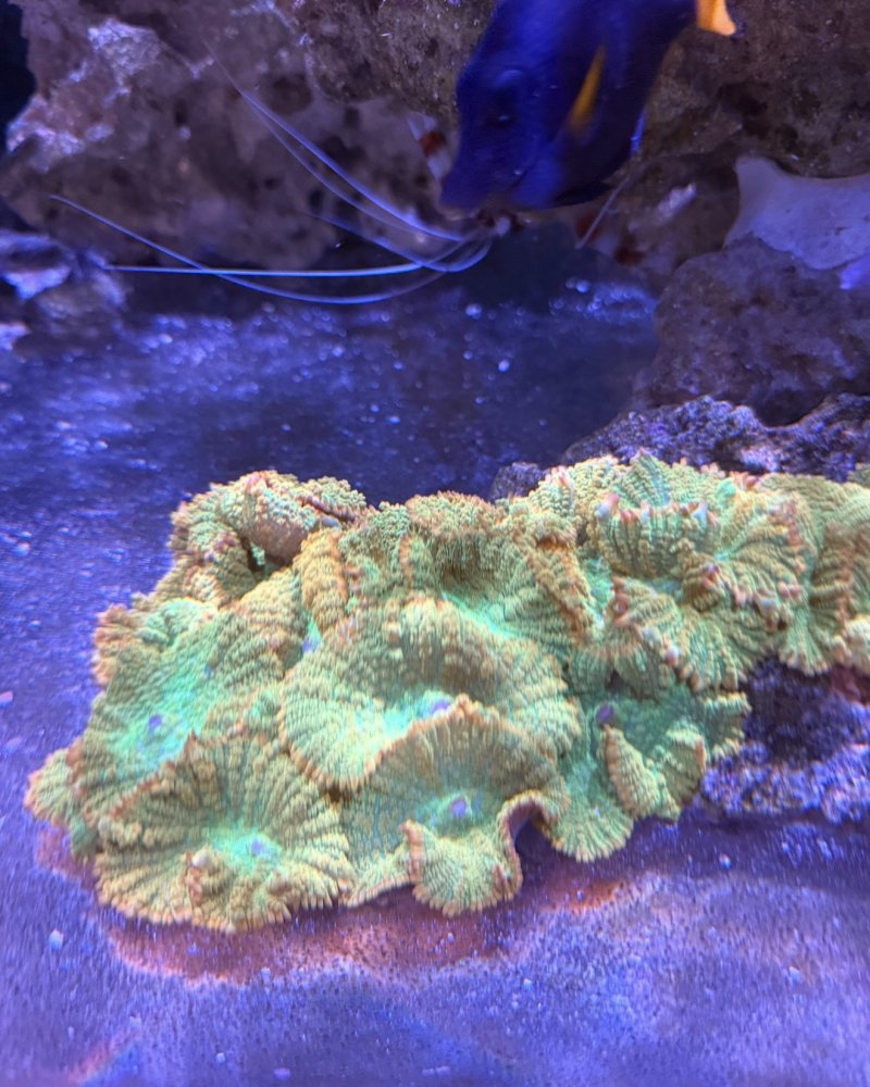 IMG_3252.jpeg