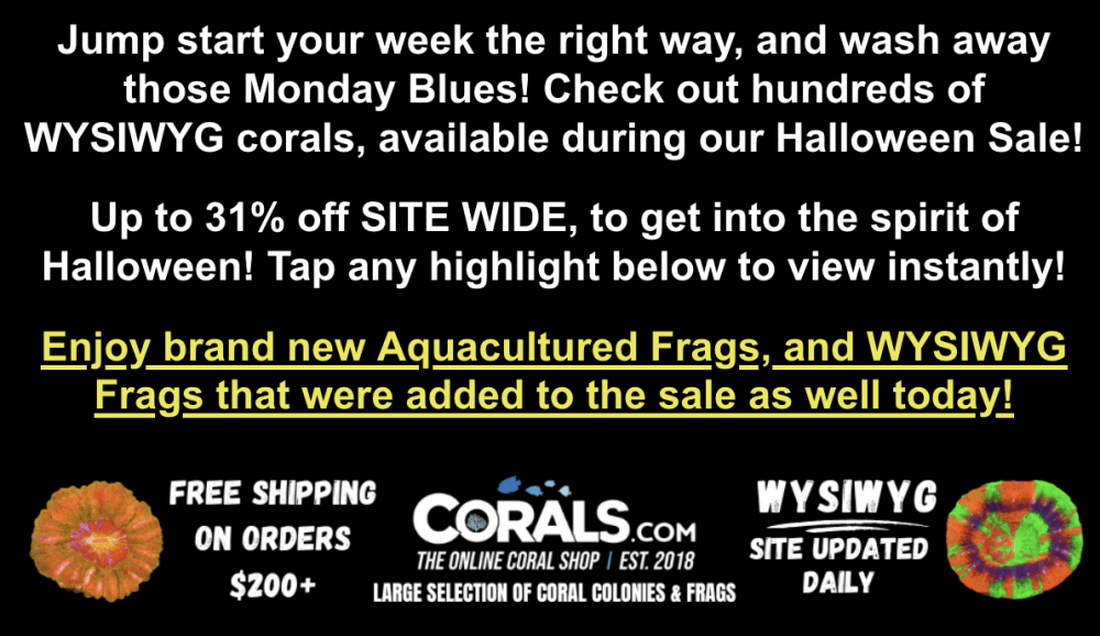 Screenshot 2025-10-27 at 1.54.51 PM.png