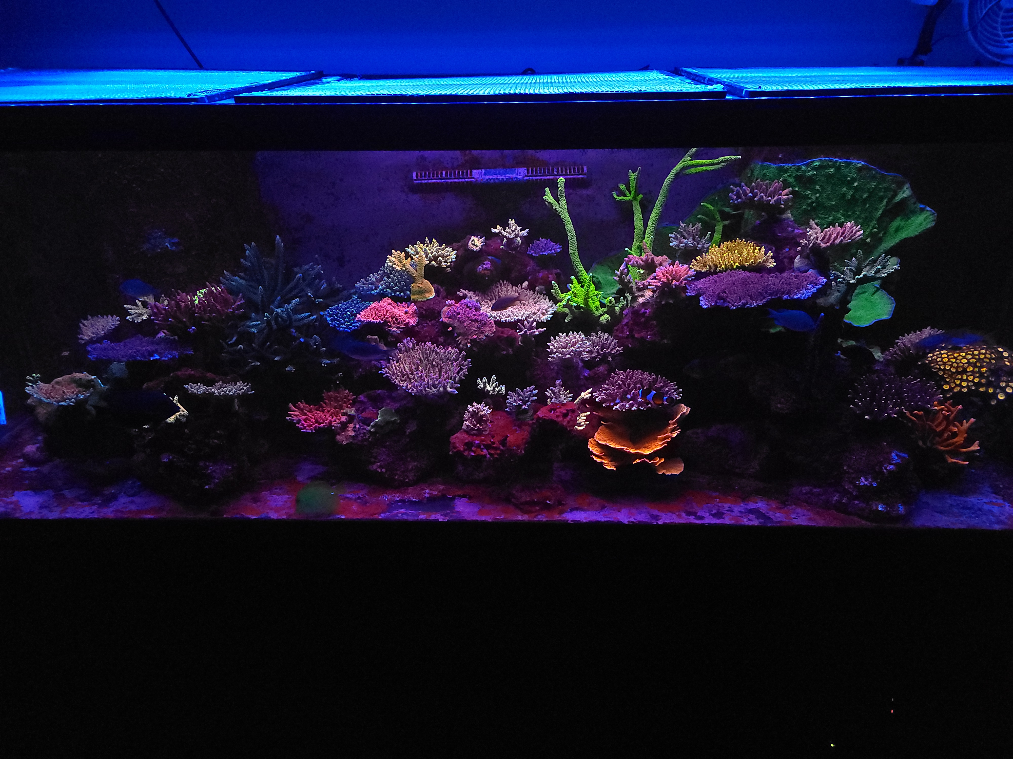 20210724_225031.jpg