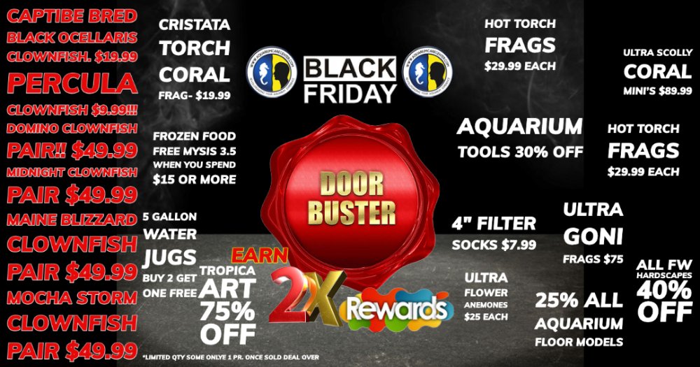 BLACK FRIDAY SMALL-2.jpg BLACK FRIDAY SMALL-2.jpg