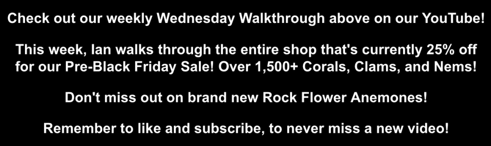 Screenshot 2025-11-19 at 2.58.42 PM.png