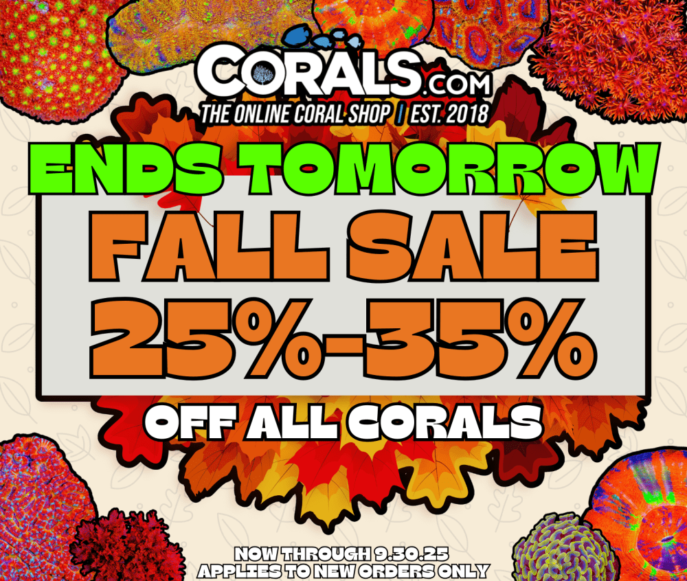 Fall Sale 2025(2).png