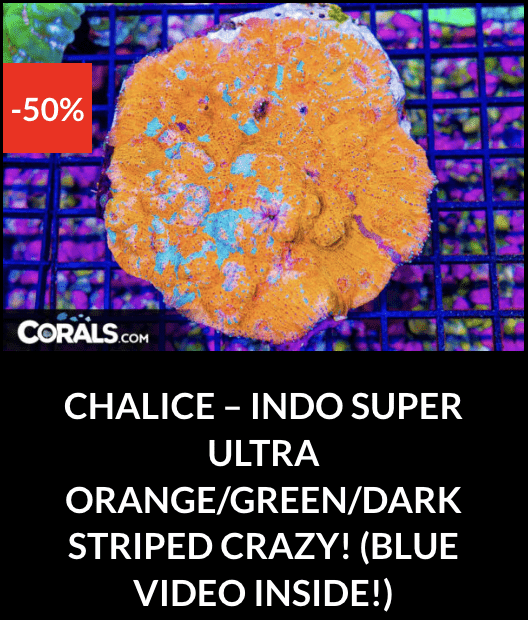 Screenshot 2025-12-28 at 9.54.14 AM.png