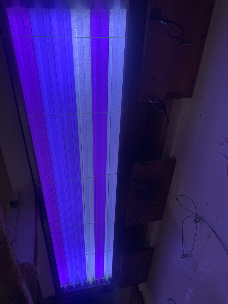 39285F4F-D80E-4BA5-AA02-FA71228A7AA2_1_105_c.jpeg