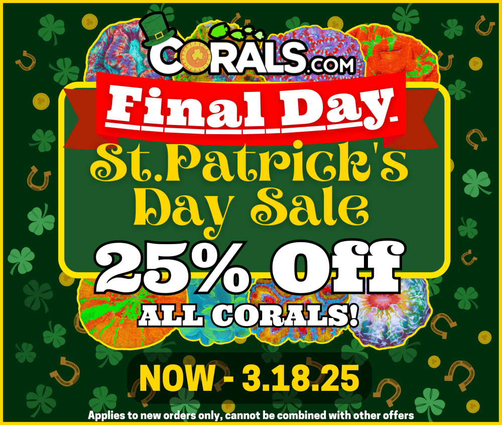 St Patty's 2025(1).png