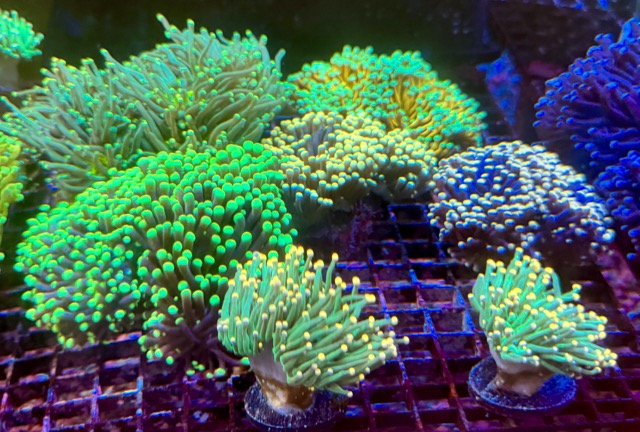 IMG_9657 Medium.jpeg