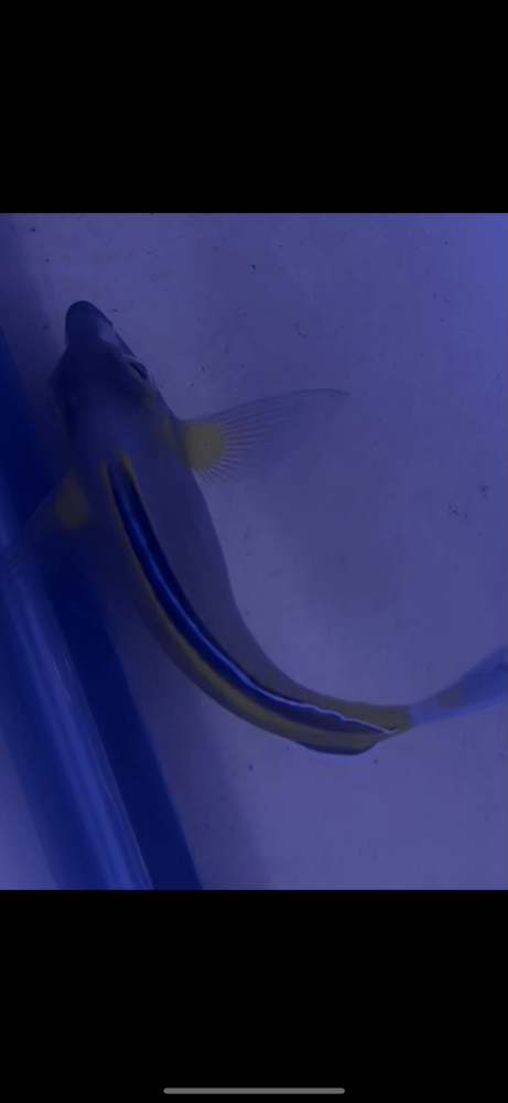 IMG_2973.png IMG_2973.png