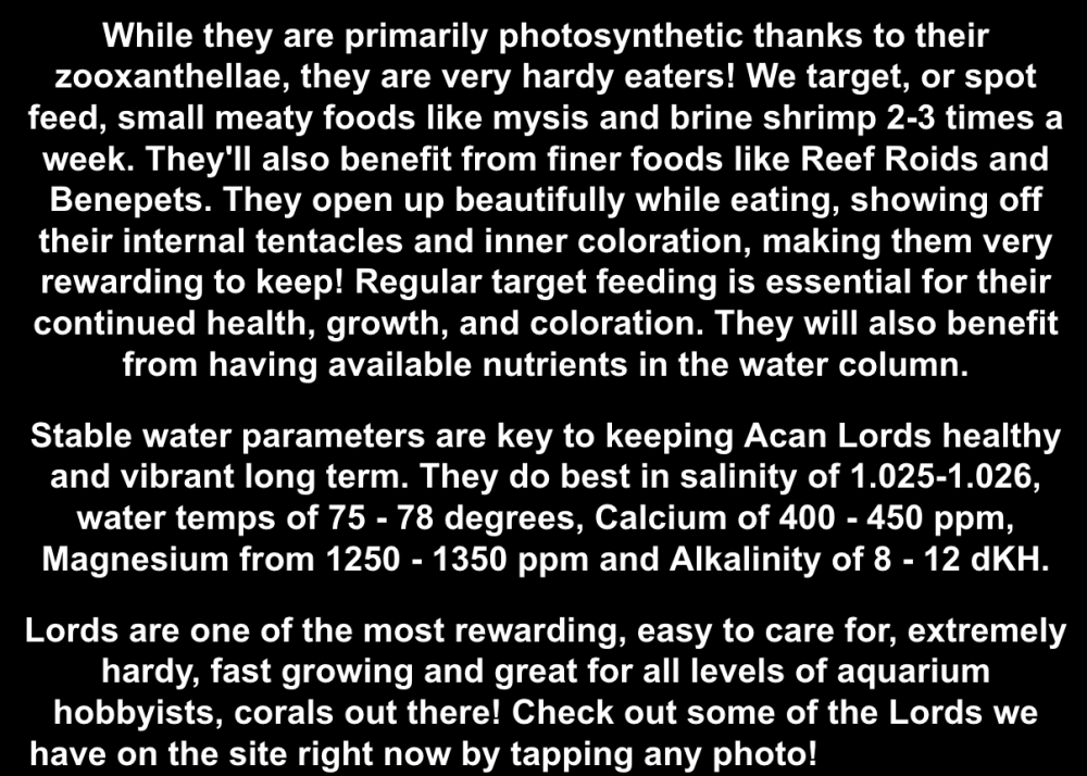 Screenshot 2026-01-23 at 1.59.08 PM.png