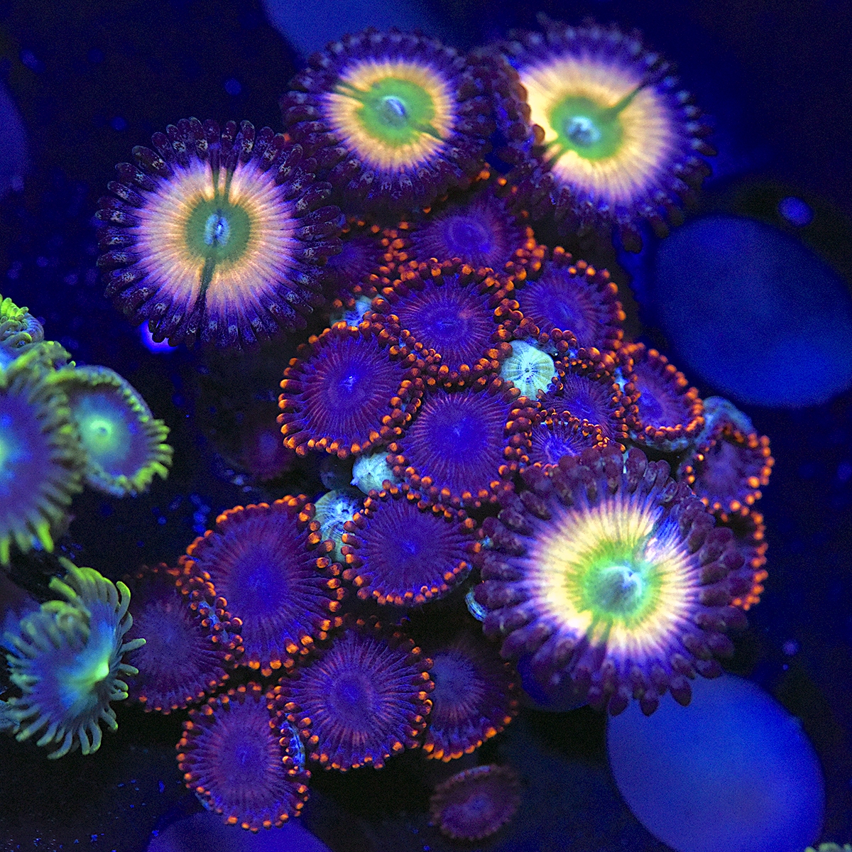 DSC_5058.JPG