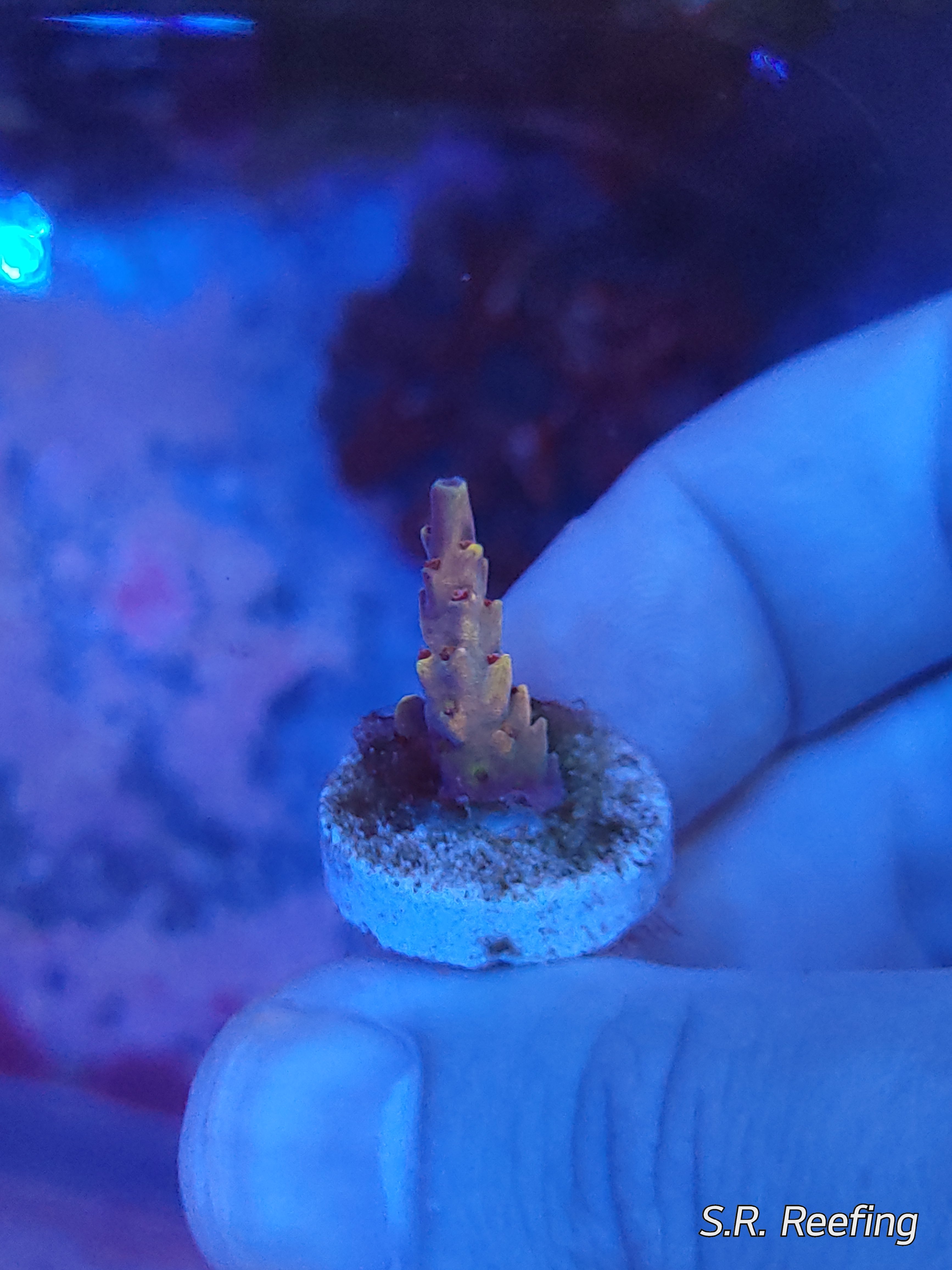 20200918_205219.jpg