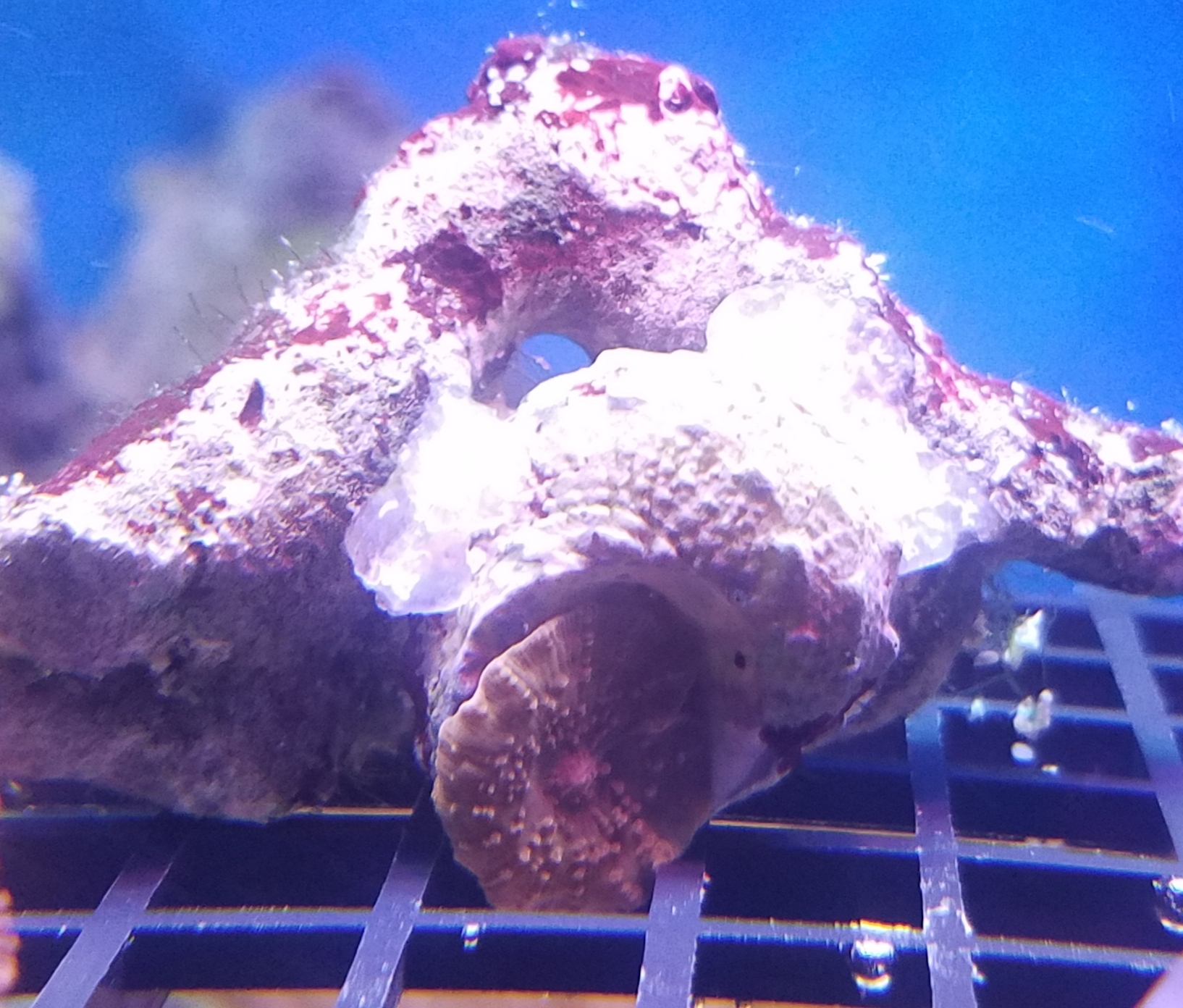 20210806_193847.jpg