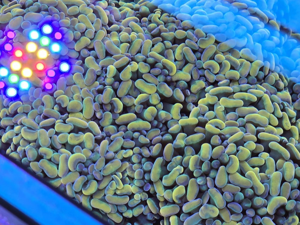 2025-10-30 14.23.50.jpg