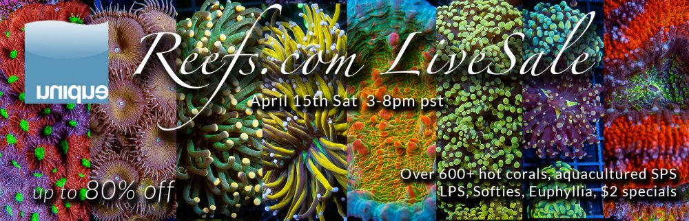 REEFS-sale-april15-2023.jpg REEFS-sale-april15-2023.jpg