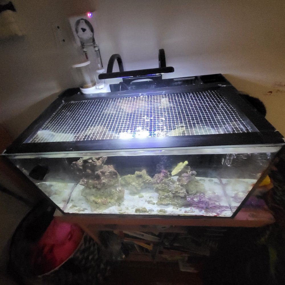 20220804_150445.jpg