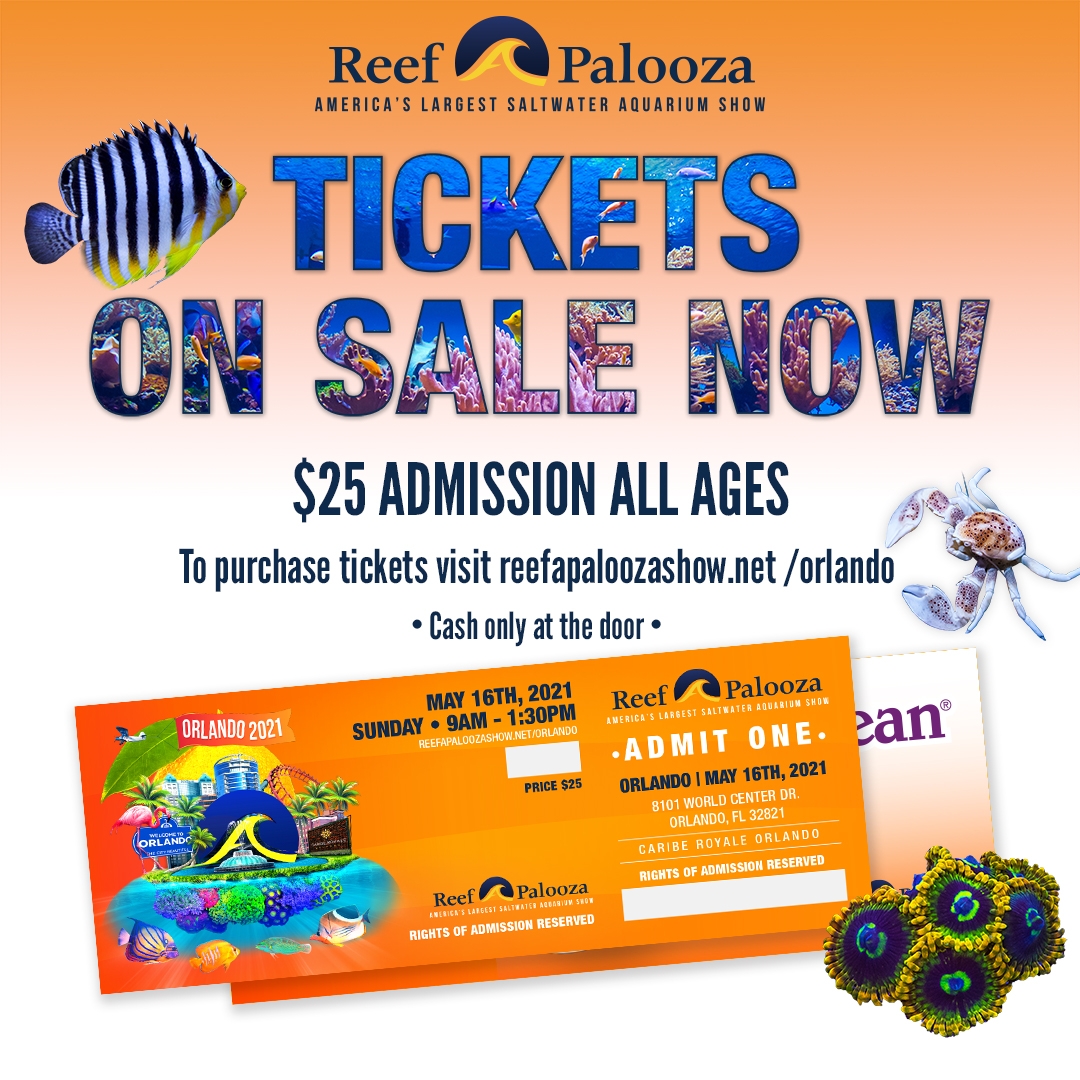 orlando2021_cariberoyale_ticketsonsalenow1x1.jpg orlando2021_cariberoyale_ticketsonsalenow1x1.jpg