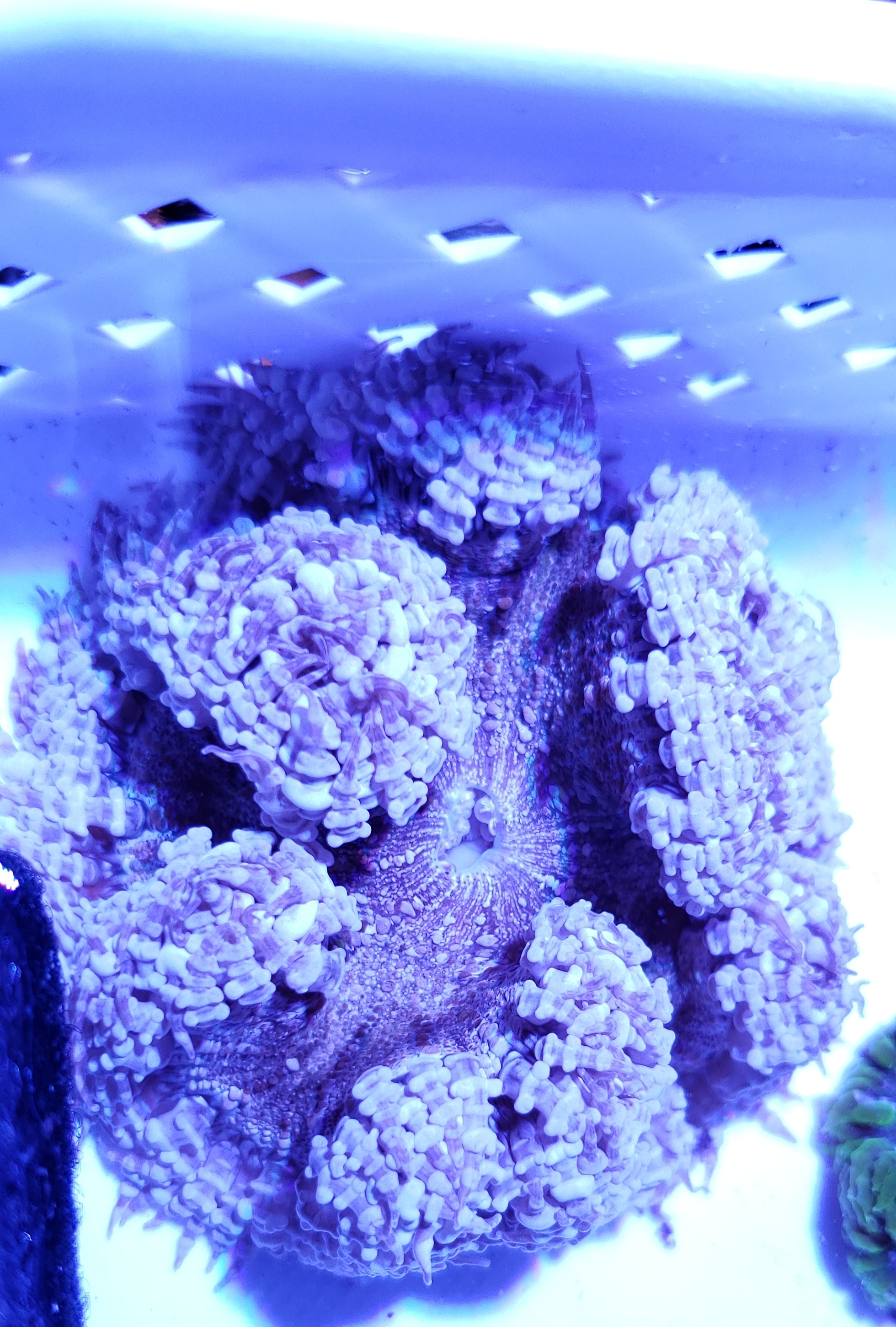 20191116_120611.jpg