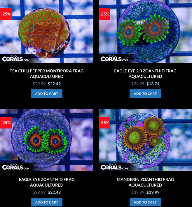 Screen Shot 2023-01-17 at 8.58.26 AM.png