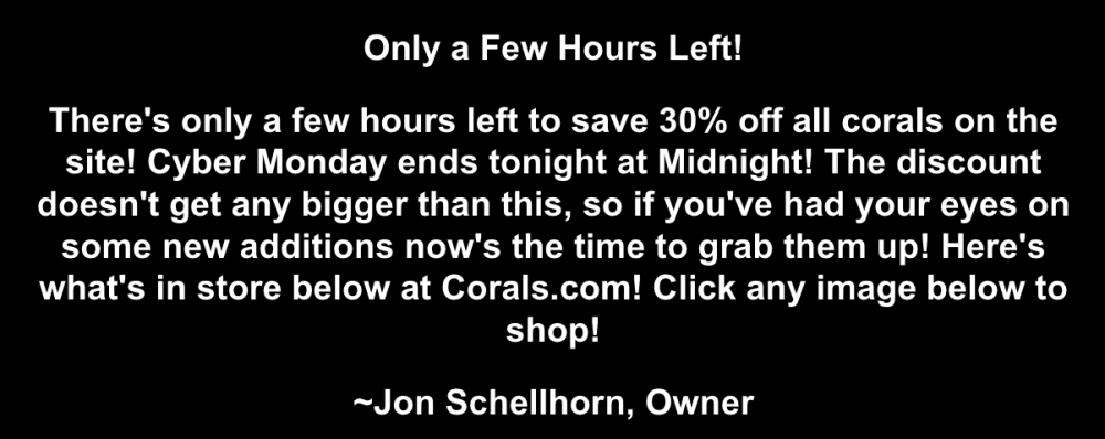 Screenshot 2025-12-01 at 4.32.46 PM.png