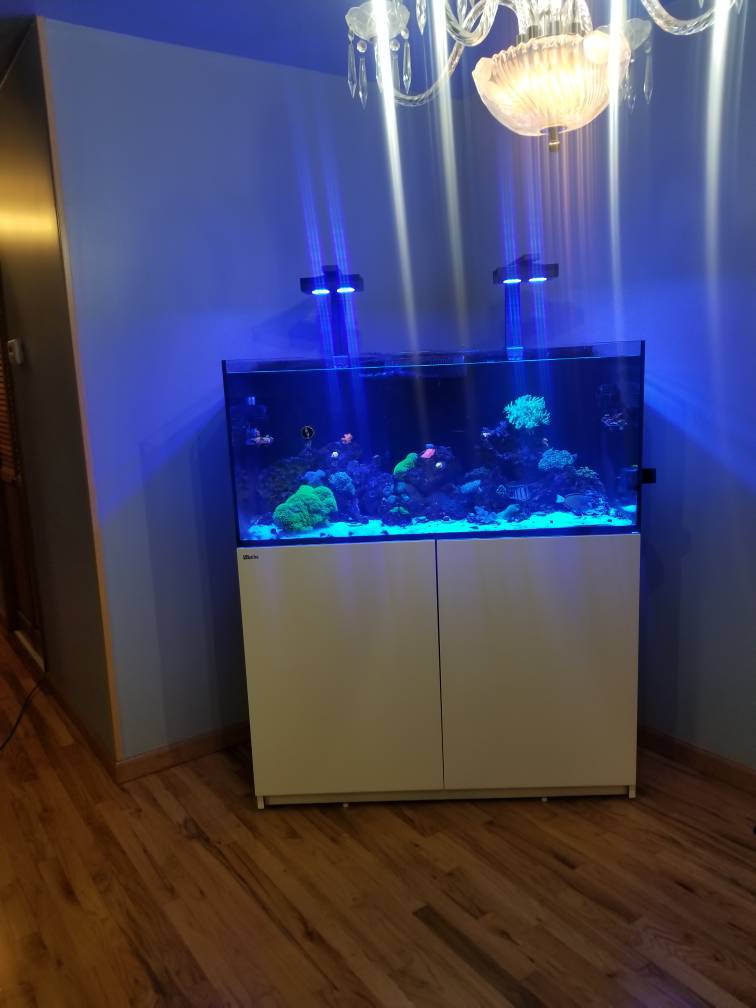 20191219_184740.jpg