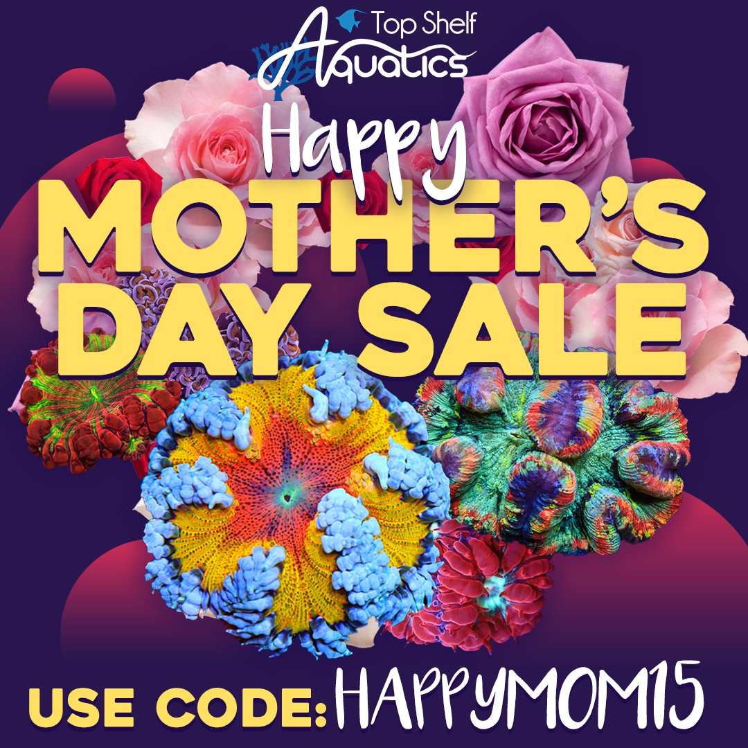 MothersDaySale_11080x1080.jpg