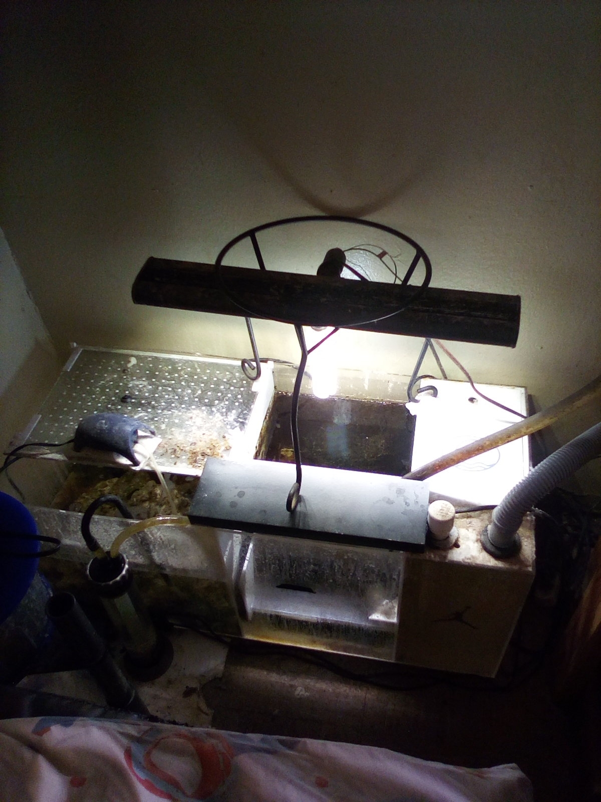 IMG_20200608_151556.jpg