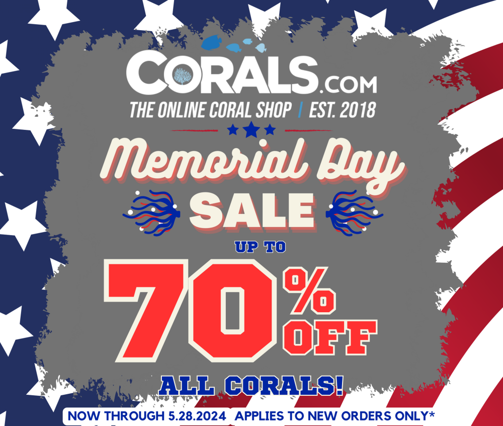 Memorial Day Sale 2024.png