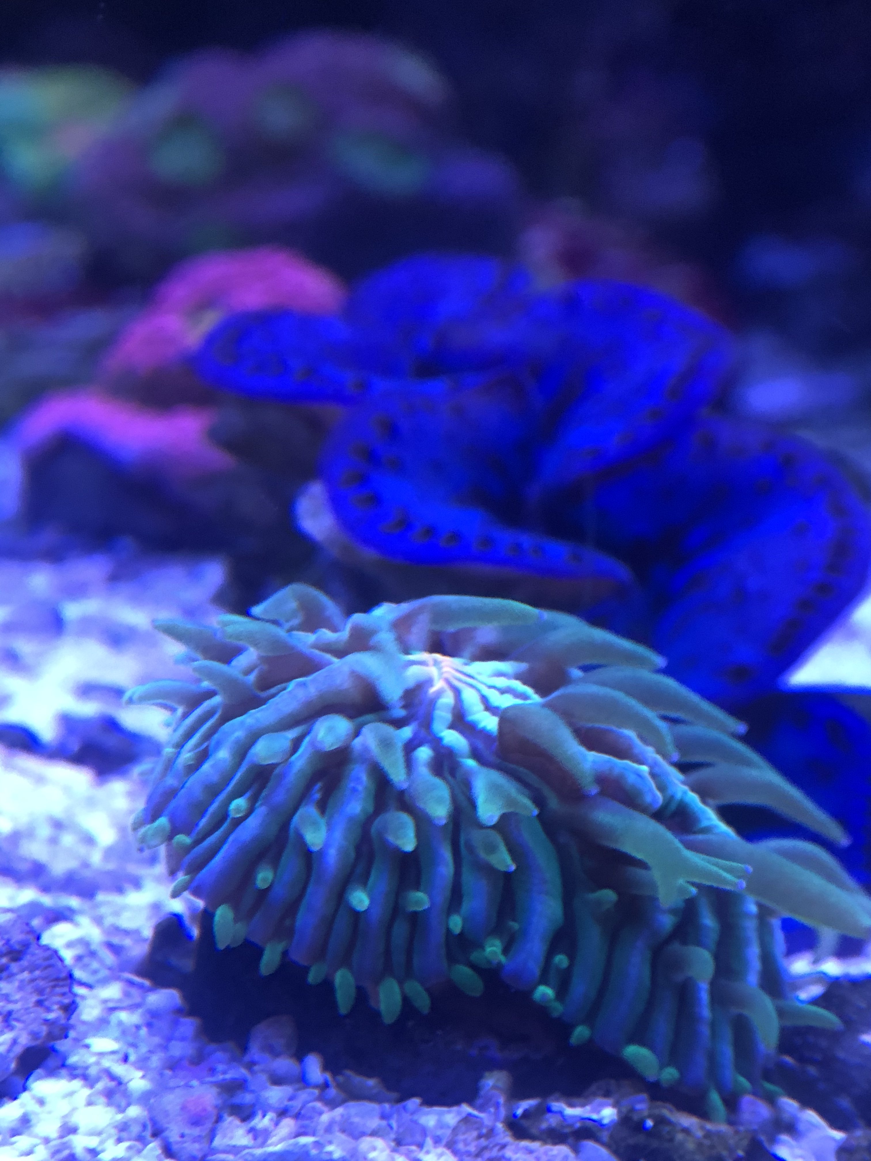 568D9A09-B3ED-4804-B624-14EDD3C381F3.jpeg