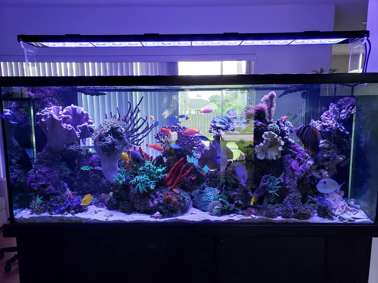 RIch Miller 72%22 Illumagic light.jpg