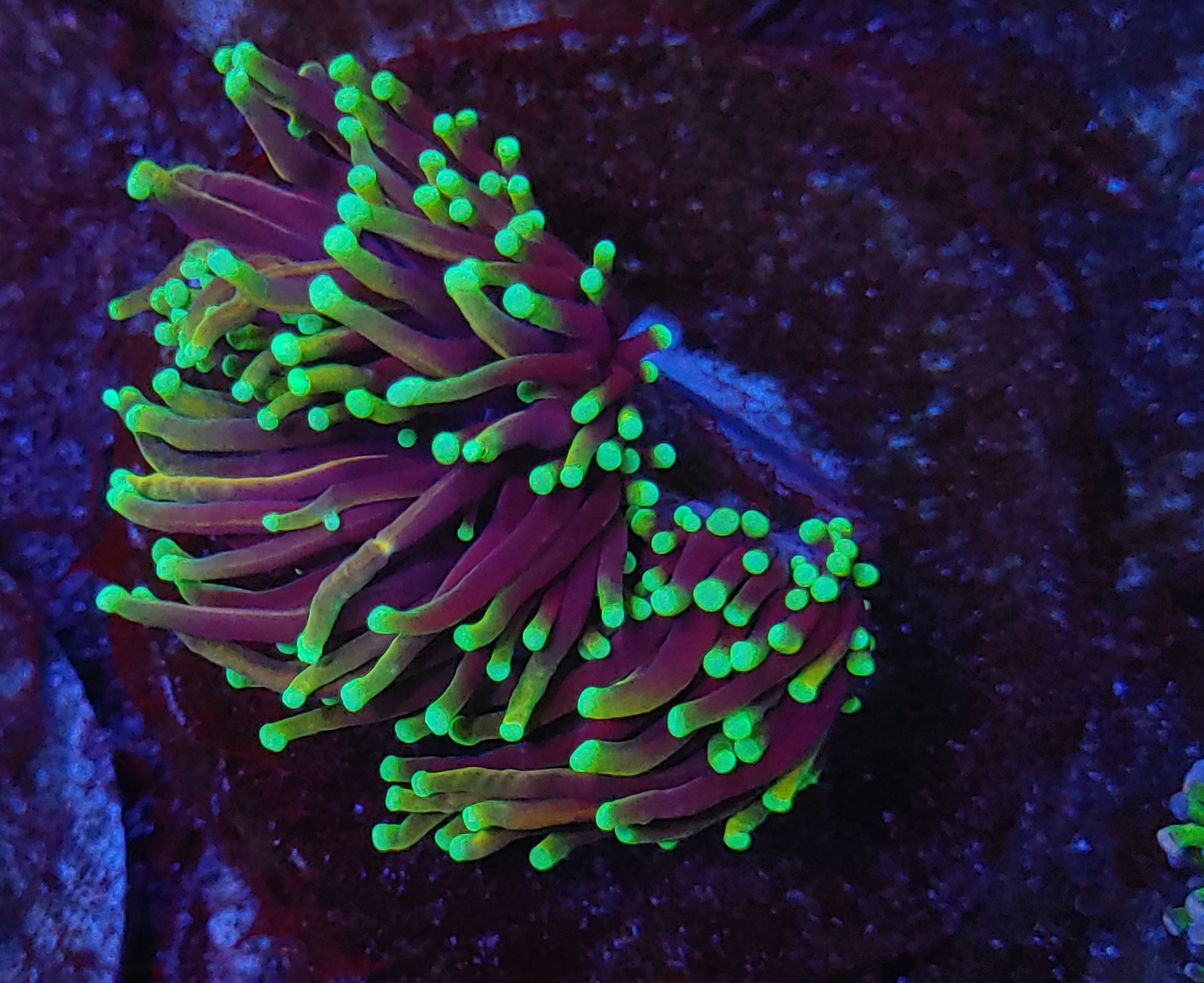 20200617_152407 (1).jpg