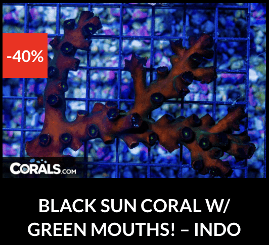 Screenshot 2025-12-28 at 9.53.02 AM.png