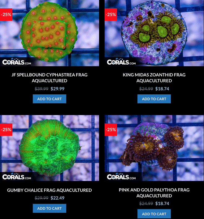 Screen Shot 2023-01-17 at 8.59.56 AM.png