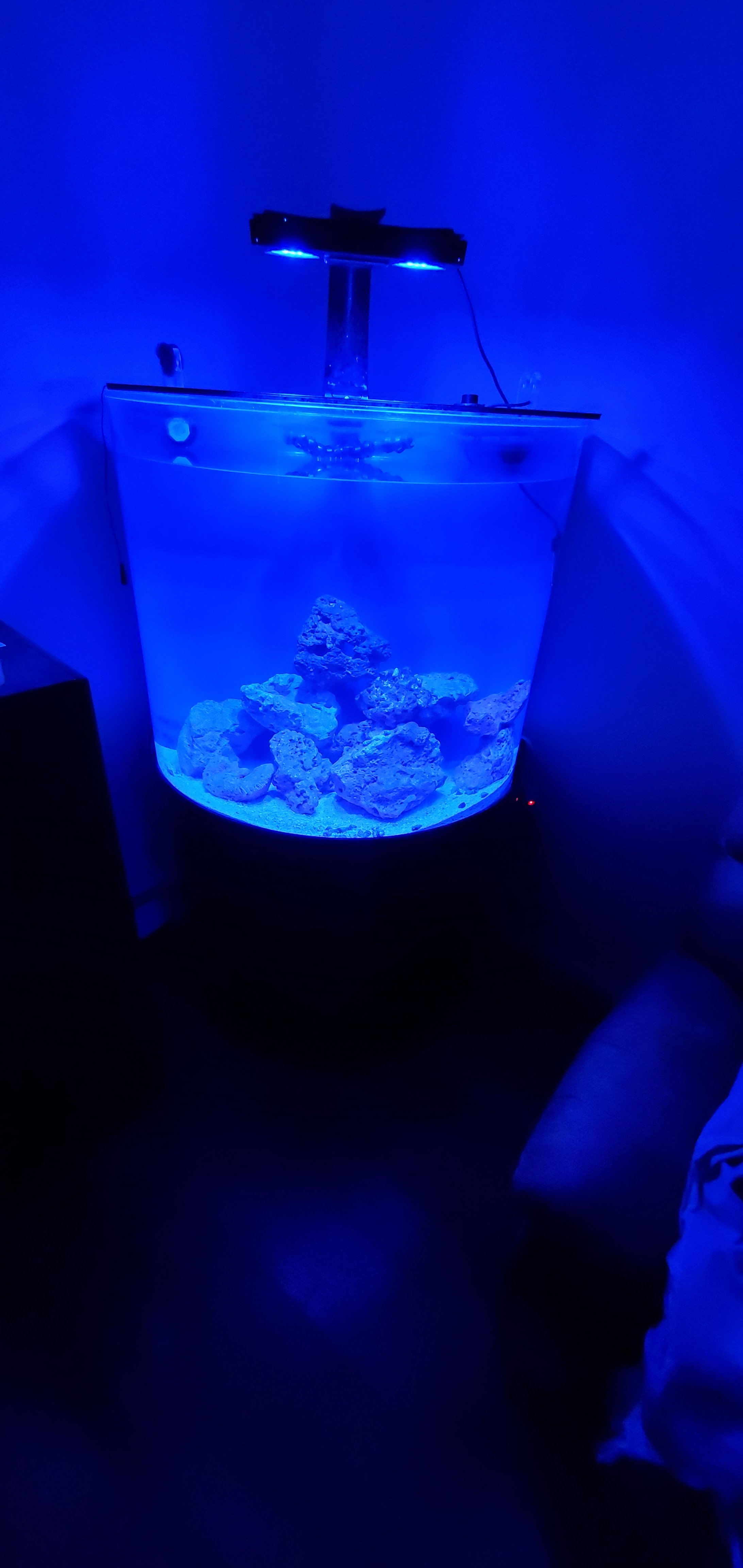 20201210_105104.jpg