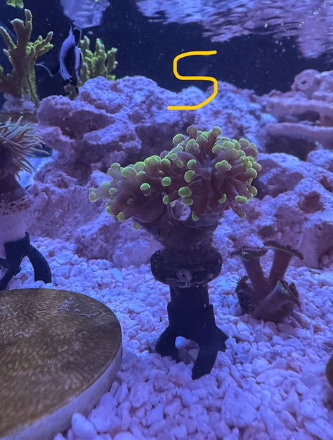 9.png