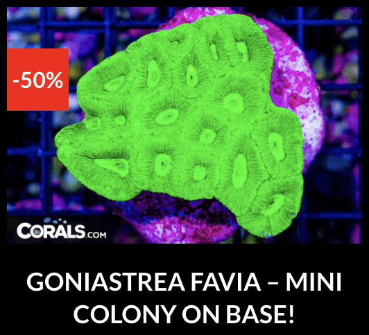 Screenshot 2026-04-10 at 10.40.01 PM.png