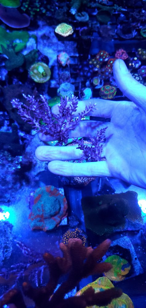 20220725_192524.jpg 20220725_192524.jpg