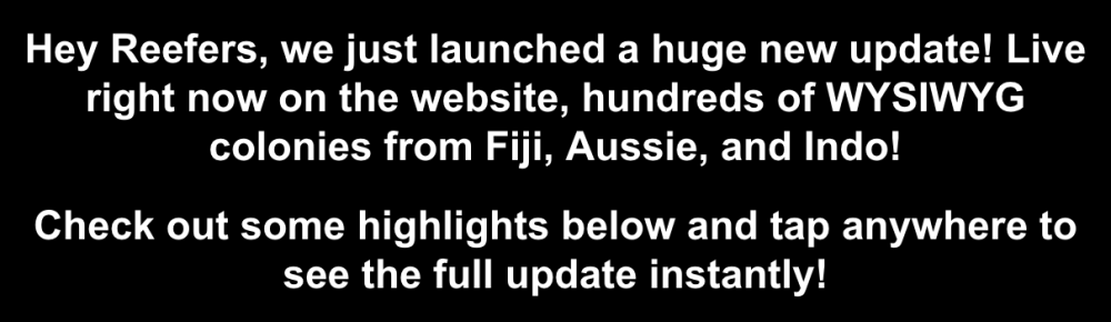 Screenshot 2025-07-22 at 11.53.43 AM.png