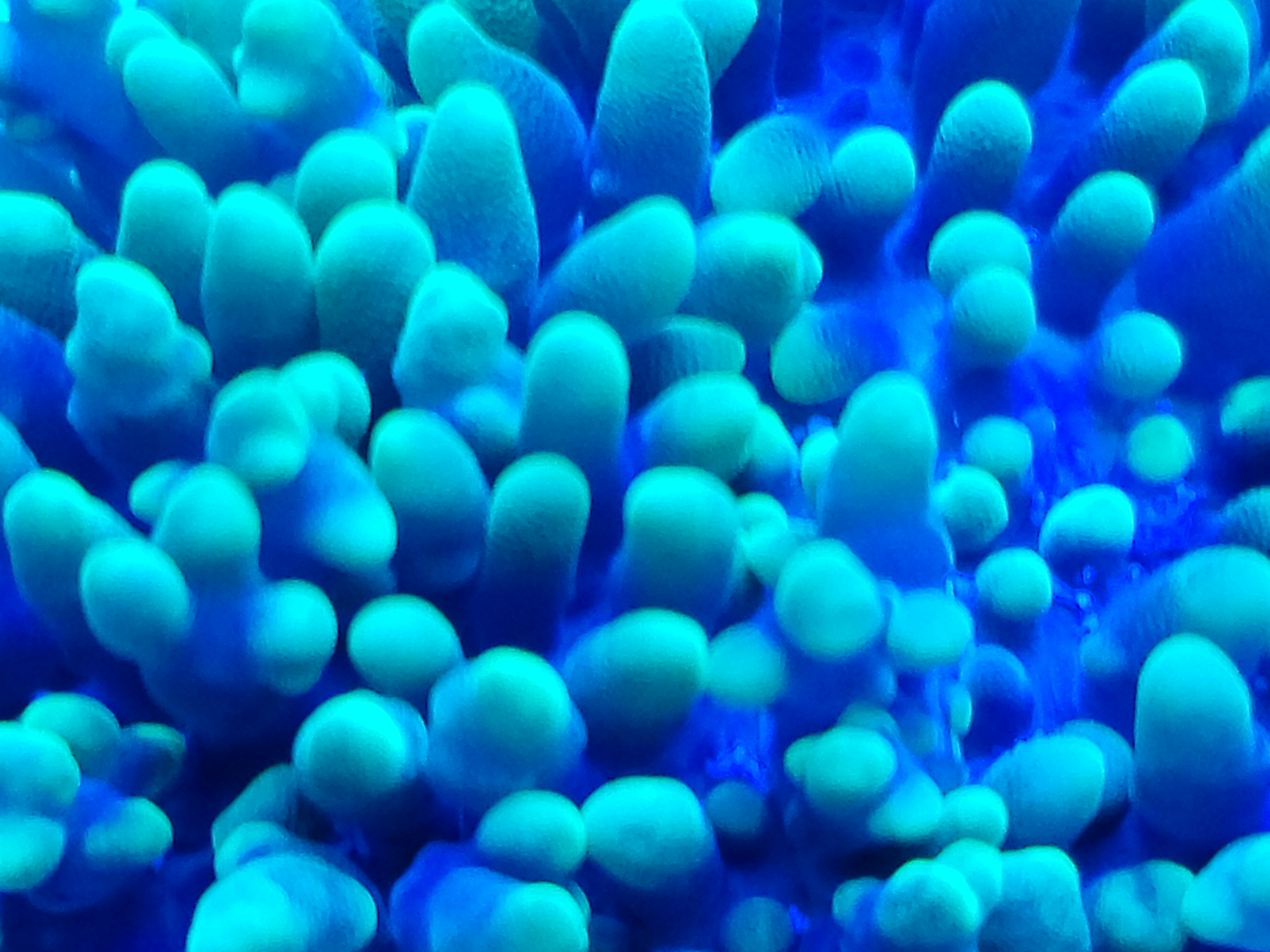 20210910_201443.jpg