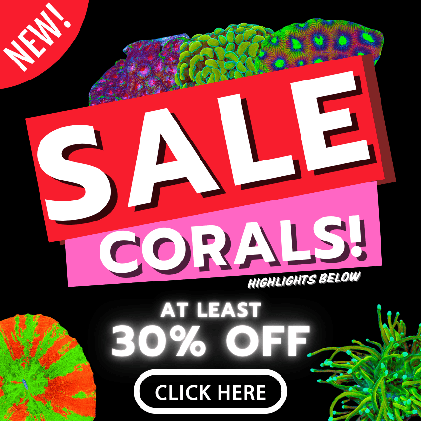 sale poster(17).png