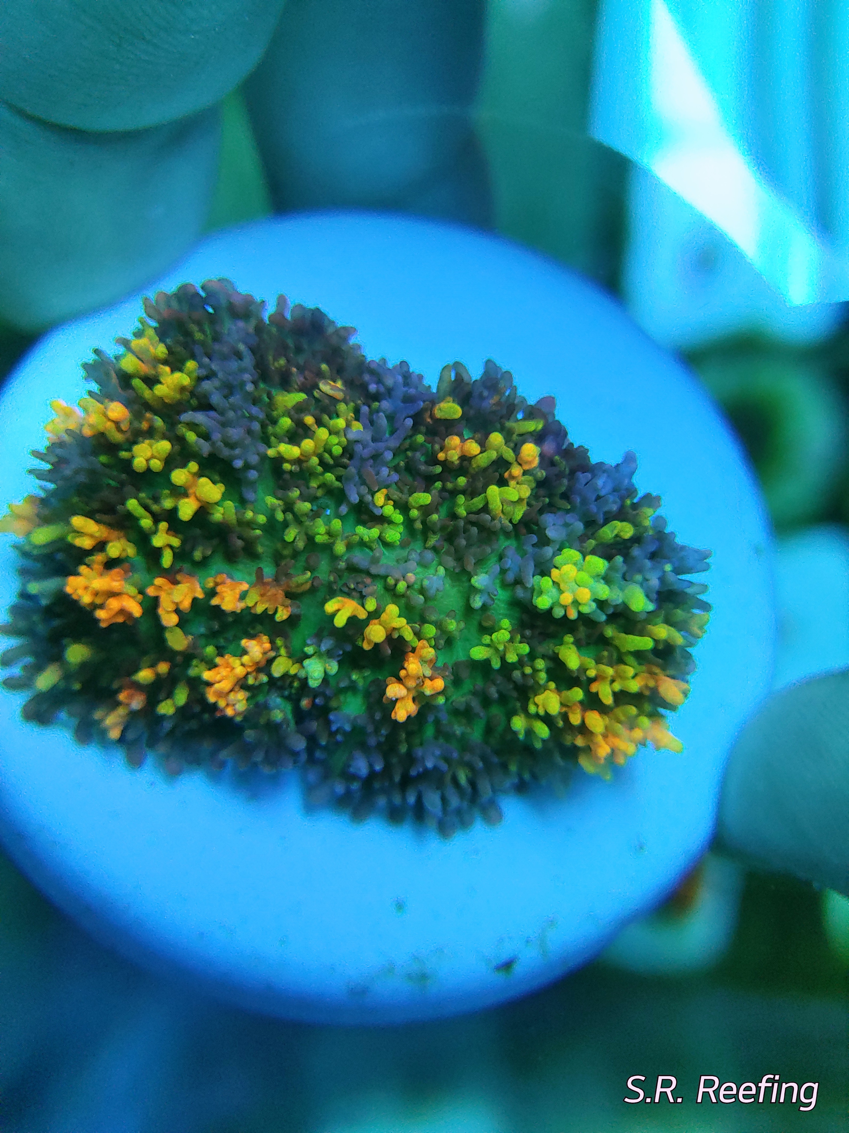 20200915_174756.jpg