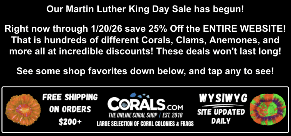 Screenshot 2026-01-16 at 12.02.51 PM.png