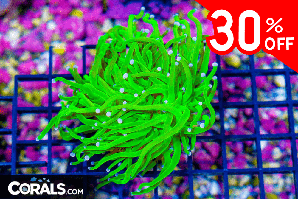 Untitled design(56).png