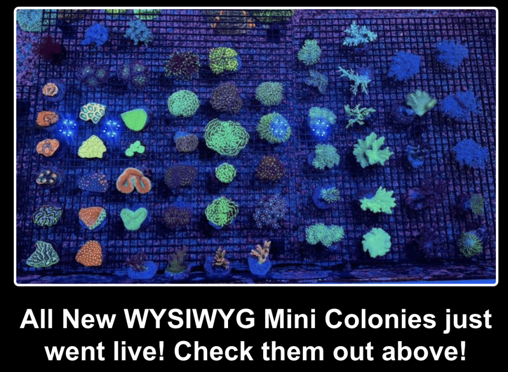 Screenshot 2026-02-05 at 1.57.22 PM.png