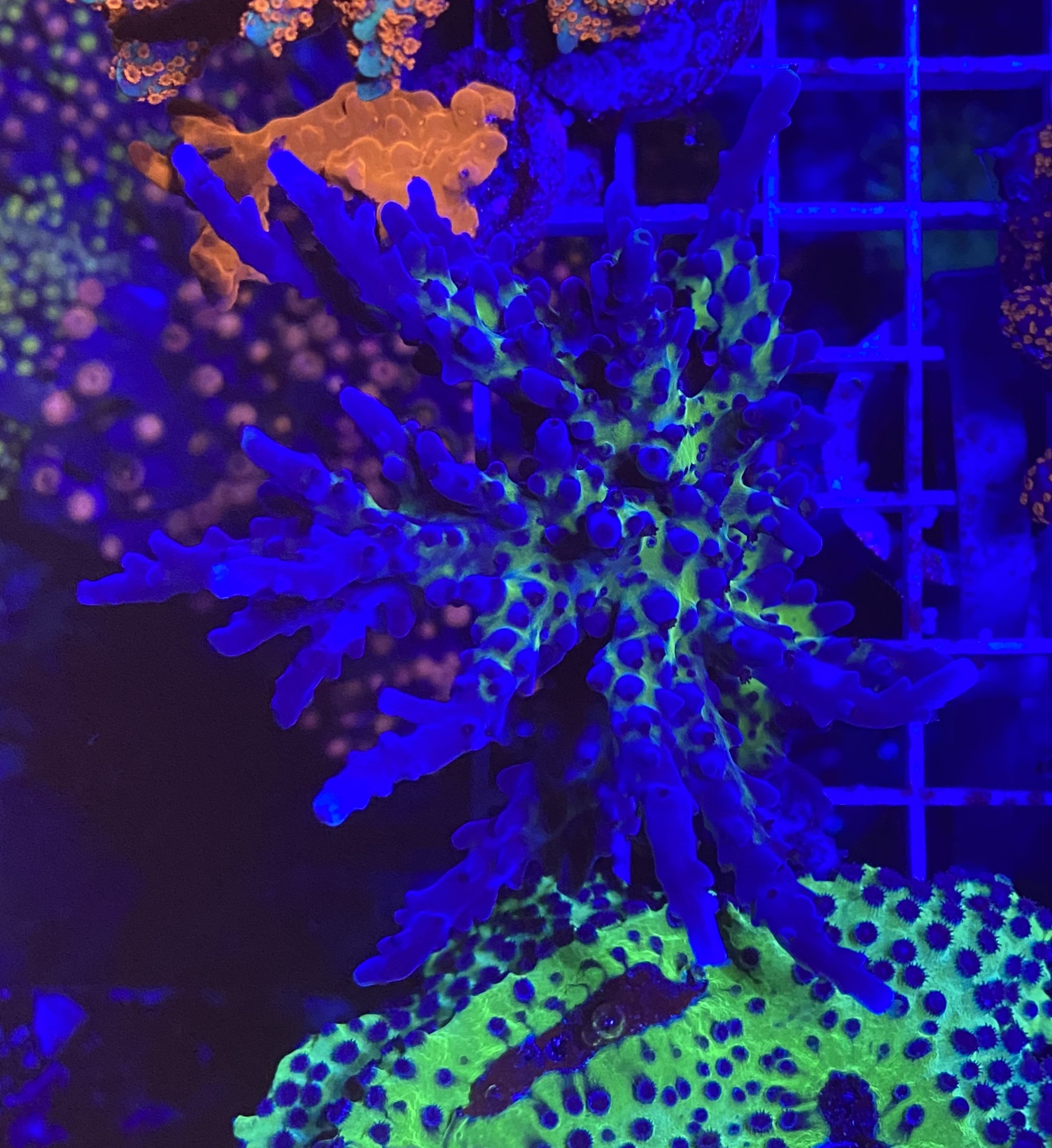 CDB9B2E0-604B-4557-A10A-EF11FCEDED78.jpeg