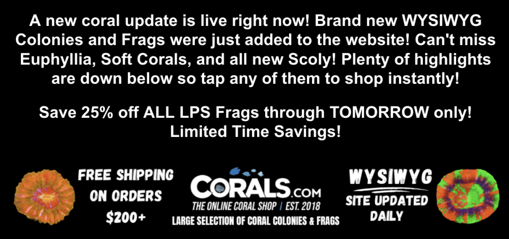 Screenshot 2025-11-06 at 12.58.47 PM.png