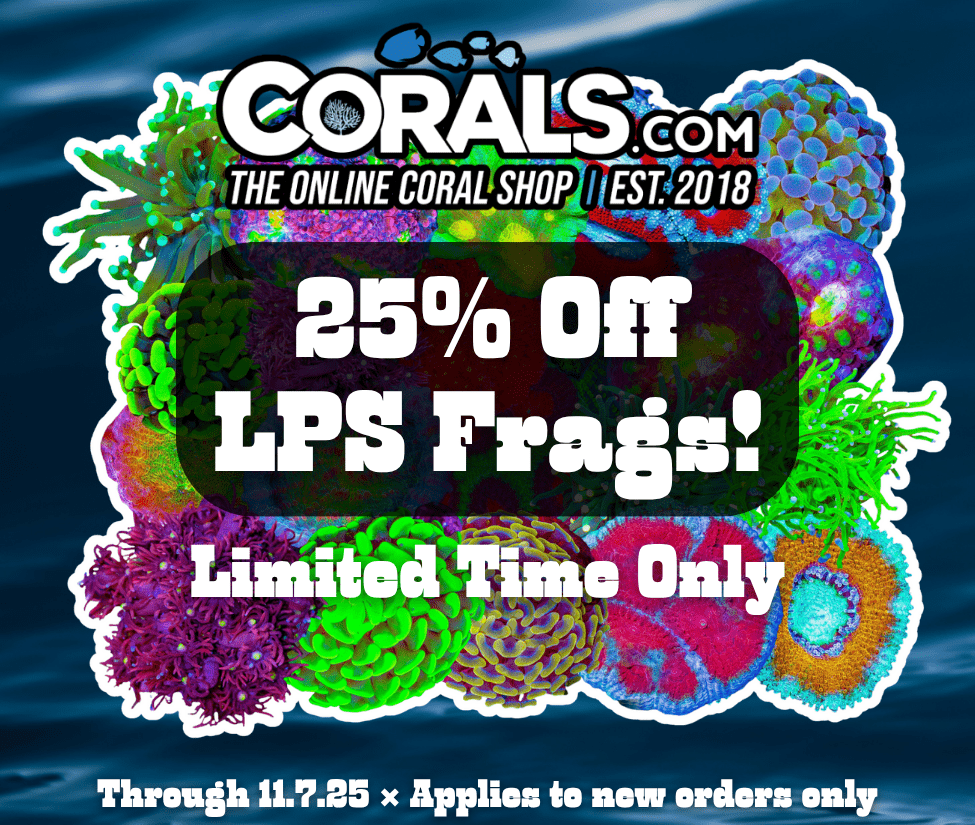 LPS Sale(1).png