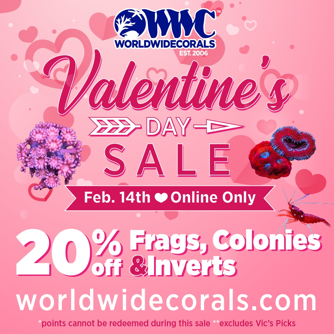 valentines_day_sale2021_SM1x1_update5.jpg