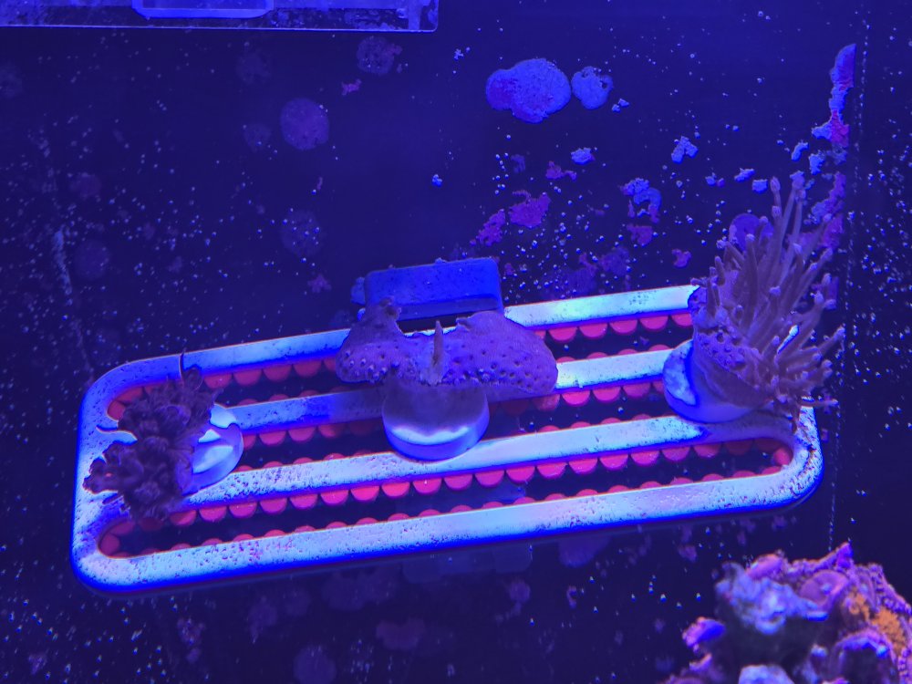 58020.jpg