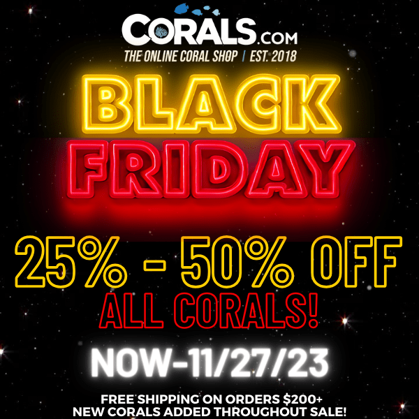 BLACK FRIDAY SALE 2023 (600 x 600 px).png
