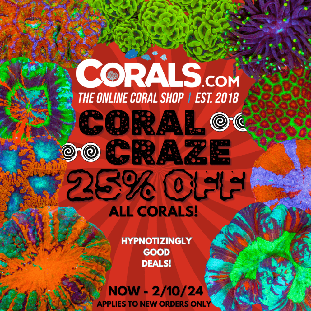 Insta Coral Craze 2.24.png Insta Coral Craze 2.24.png
